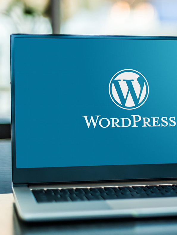 wordpress-developer-in-kenya-4